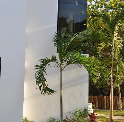 Eva Luxury * Akumal